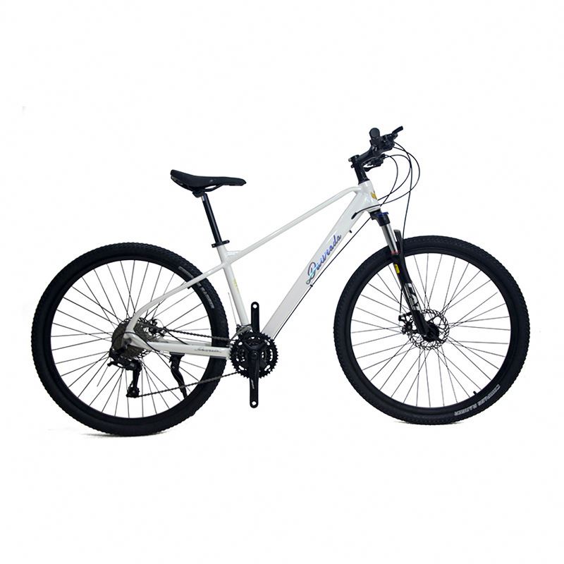 Vélo de montagne en alliage d' - Mountain Biking Usa avis et prix